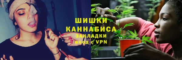 PSILOCYBIN Баксан